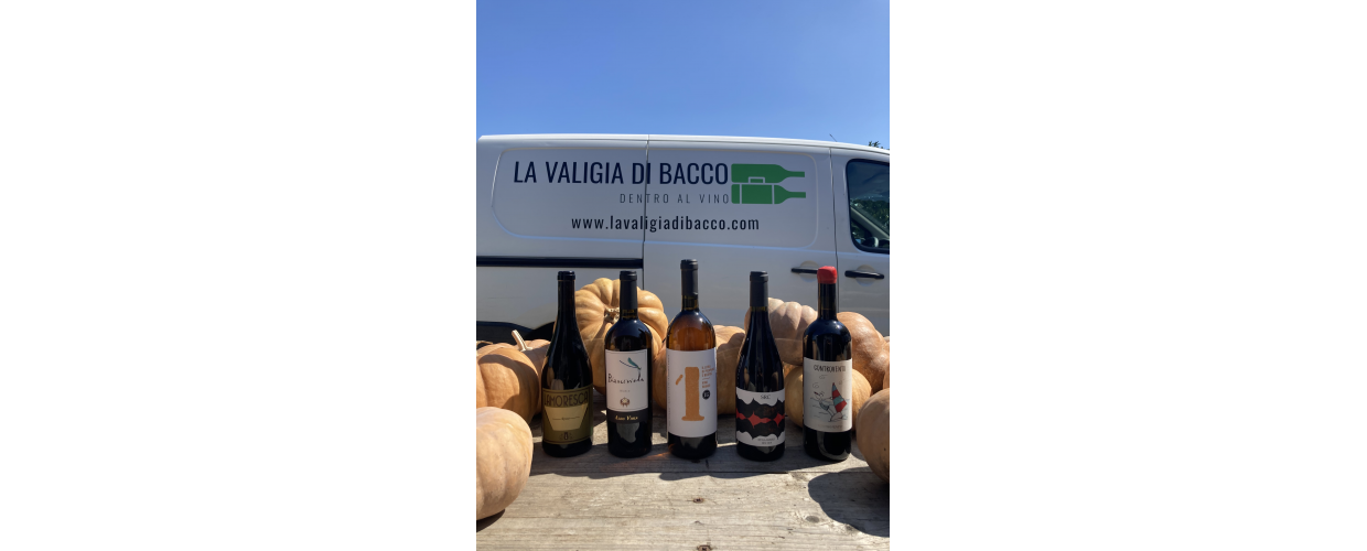 Rossi, caldi, intimi e…naturali! La Valigia di Bacco vi propone 5 vini per accompagnare l’arrivo dell’autunno